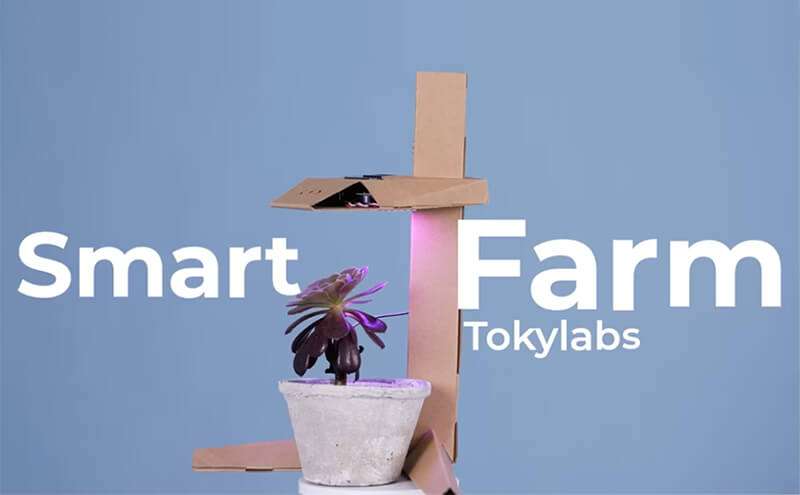 Tarifa Plana Imagine TokyLabs SmartFarm