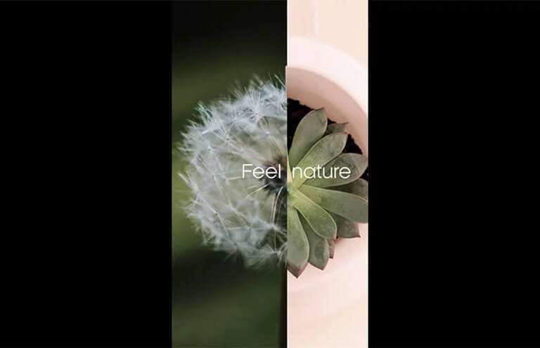 Tarifa Plana Imagine Bioo Lux Reel Instagram Feel Nature